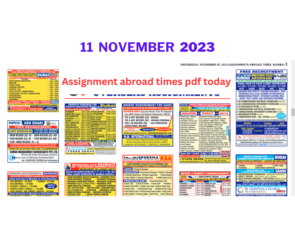 Assignment abroad times pdf today 11 nov 2023